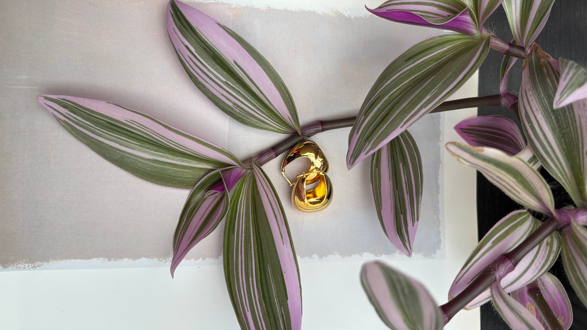 a pair of gold hoop earrings against a white and grey background and a purple and green plant