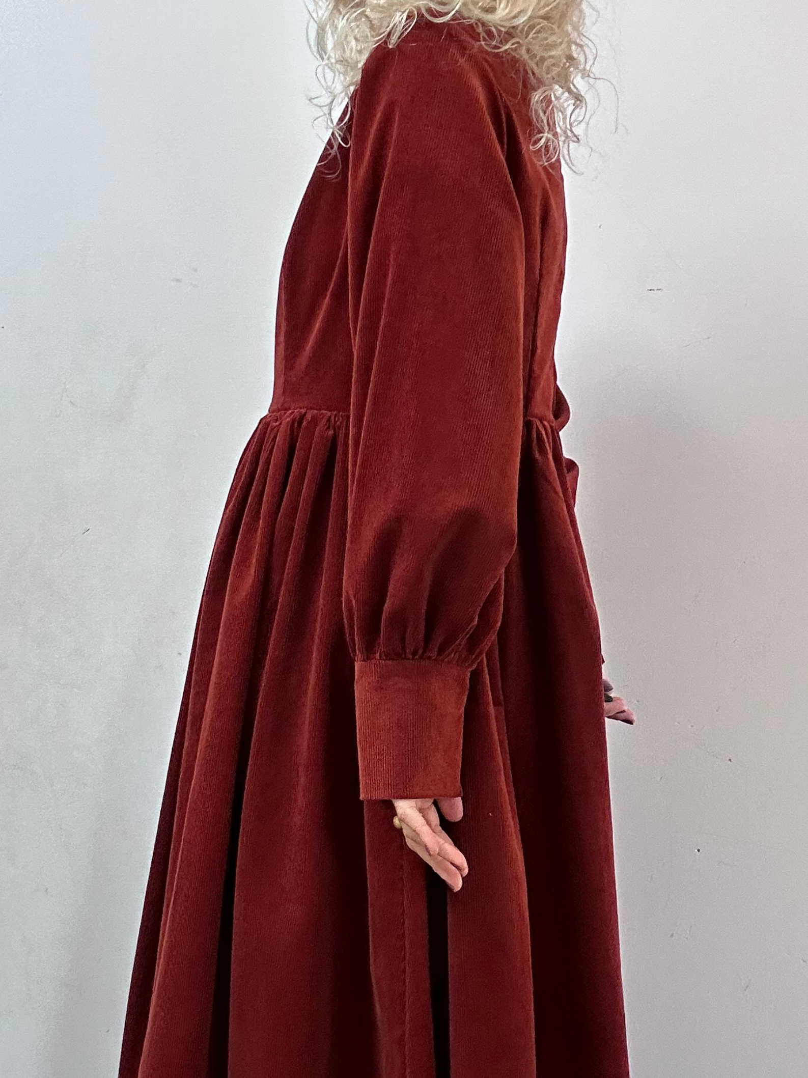 Red rust dress with long sleeves on a plain background